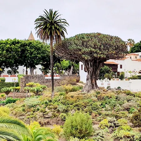 Terraza Sol Gigantes Апартаменты *