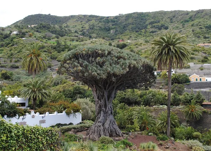 Terraza Sol Gigantes Апартаменты Акантиладо-де-Лос-Хигантес