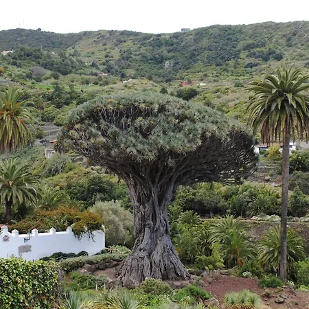 Terraza Sol Gigantes Apartment Acantilado de los Gigantes